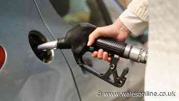 Motorists warned four errors have major impact on fuel economy as prices skyrocket