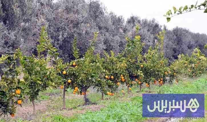 اقتراب منخفض جوي يعيد أمطار الخريف إلى مناطق واسعة بالمغرب