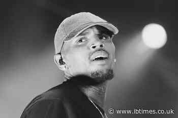 Viewers Say Chris Brown 'Went Too Far' After Licking a Fan's Armpits While Handcuffed to Pole