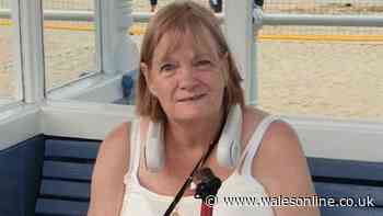 Man killed grandmother after reversing van into her, court hears