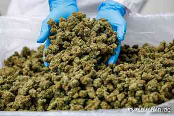 Cannabis-Modellkommune: Drei Jahre Gegenwind