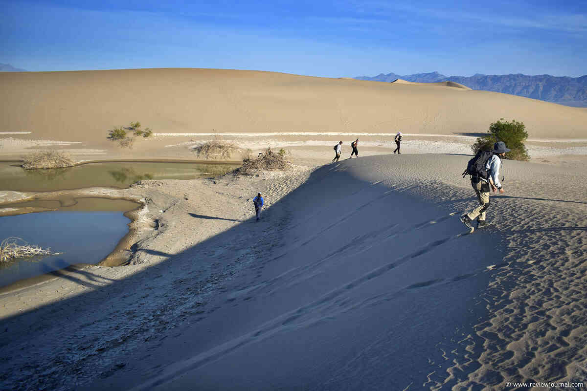 A monster flood hit Death Valley. Dune recovery is erasing the evidence