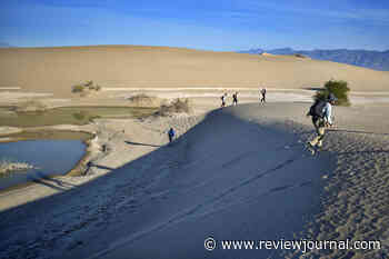 A monster flood hit Death Valley. Dune recovery is erasing the evidence