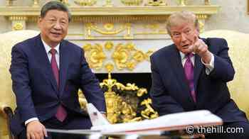 Giant pandas arrive in Atlanta after Trump-Xi meeting