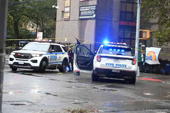 Man fighting for his life after being shot in the head in Brooklyn