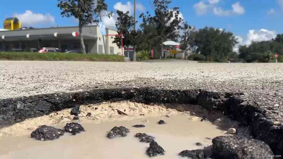 FishHawk residents concerned with potholes near busy shopping centers