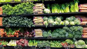 Competition Bureau investigates minimum advertised pricing policies in grocery sector