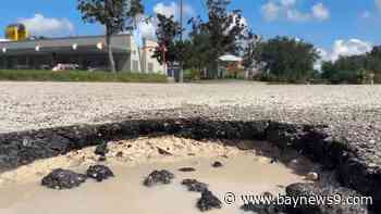 FishHawk residents concerned with potholes near busy shopping centers