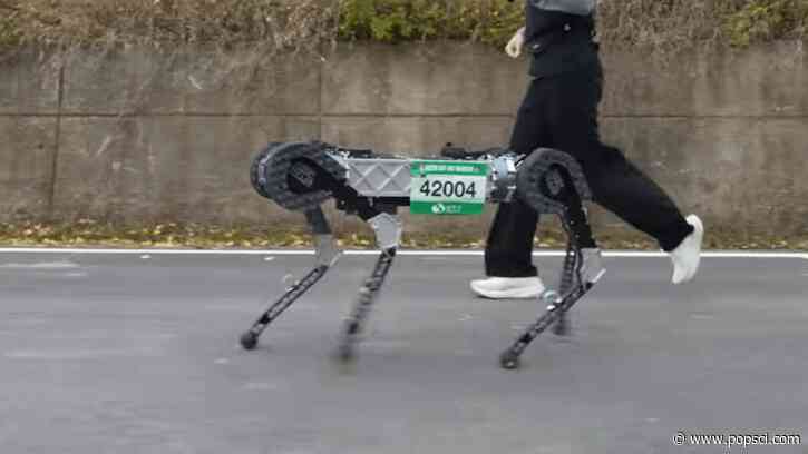 Robot dog runs a marathon faster than the average human, all on a single charge