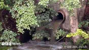 Call to speed up improvement work on polluted river
