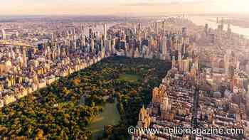 The best hotels in New York City: from budget-friendly stays to blowout luxury