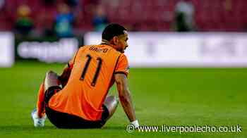 Injury expert gives Cody Gakpo timeframe as statement issued on Liverpool star