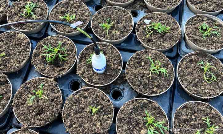 HTA’s ADOPT-Funded Project Events In October