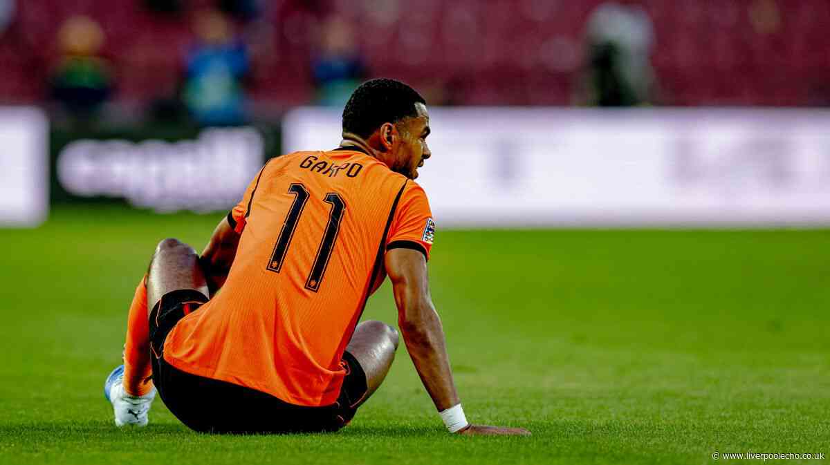 Injury expert gives Cody Gakpo timeframe as statement issued on Liverpool star