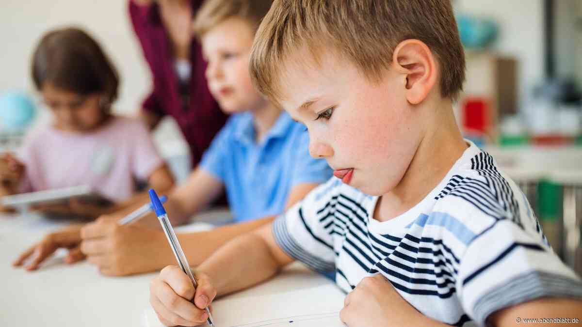 Ärztin kritisiert Hamburgs Schulen scharf: „Inklusion ist eine Lügennummer“