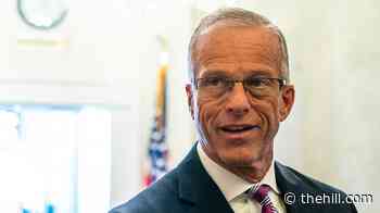 Thune says Iran war has 'trumped everything else' for voters