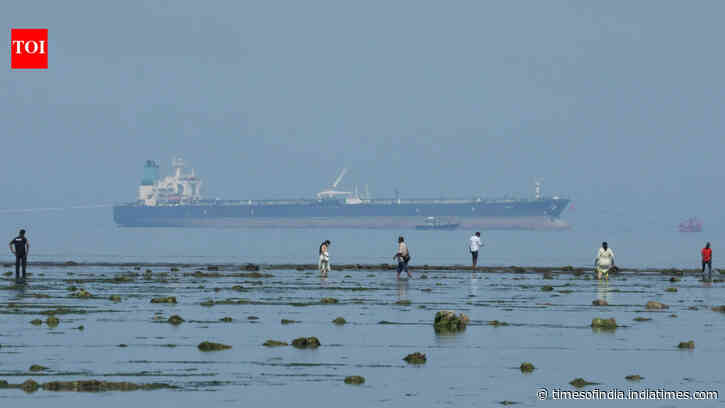 Indian imports of Russian crude oil to decline further amid lower exports, Chinese competition