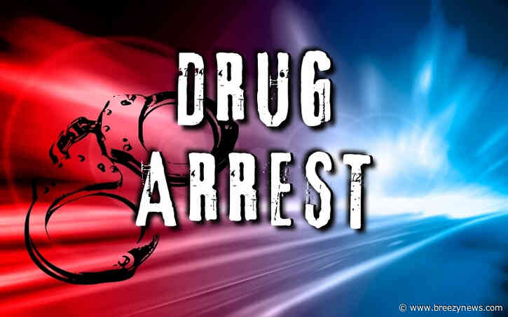 Trespassing, Shoplifting, and Drug Possession Among Recent Kosciusko Arrests