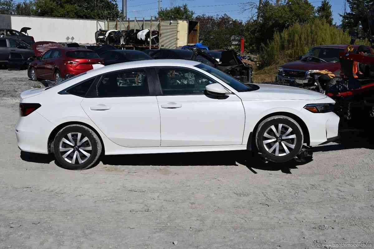 Stolen vehicles worth $375,000 recovered by Haldimand OPP