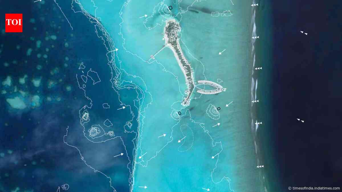 MIT’s artificial reef helped a shrinking Maldives beach grow 90 feet and double in size