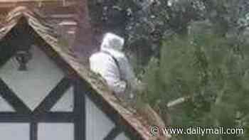 Moment builder who 'stole couple's dog' hurls roof tiles from their £1.8million Tudor cottage in a row over pay