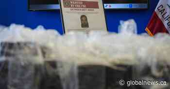 FBI adds man accused in Nijjar assassination to most wanted list