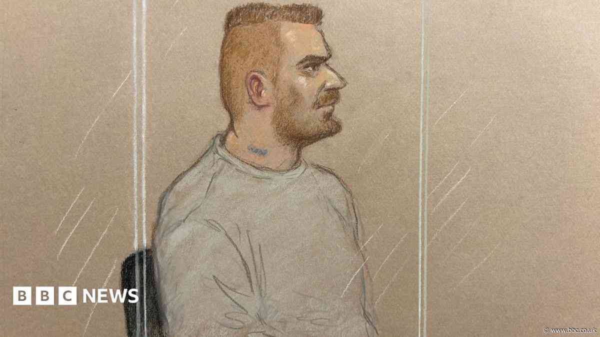 Man denies Russian plot to 'torch' drone factories