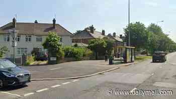 Man, 51, is arrested after 18-year-old woman 'raped' in restaurant before fleeing