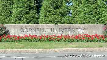 Cornell rocked by ANOTHER sex assault probe just days after lawsuit accused seven frat brothers of gang rape