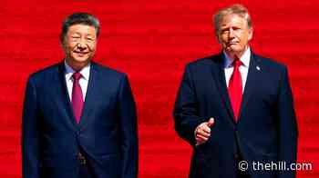 Trump denies discussing arms sales with Xi, adding 'they'd probably like to buy it'