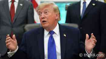 Trump 'surprised' 5 men released in UK bomb plotting probe