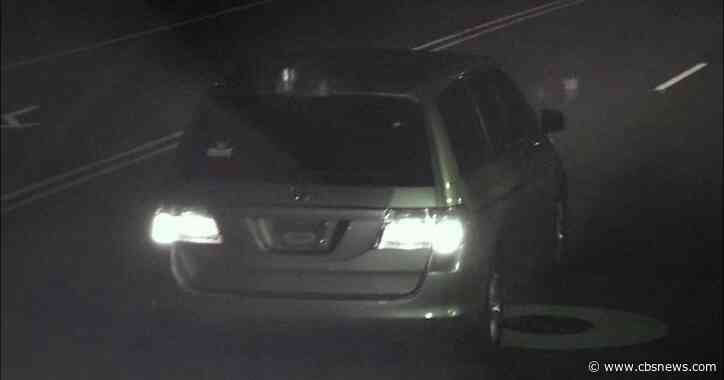 Flock cameras help identify suspect in deadly Gwinnett County hit-and-run crash, police say