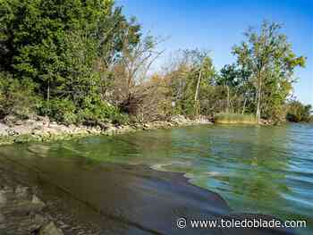 Strong winds from the northeast make Toledo-area algae even more gross