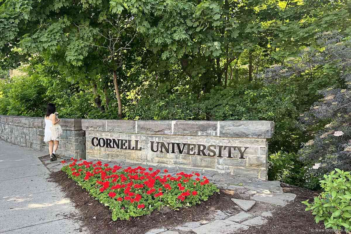Cornell University Calls Gang Rape Accuser's Essay Claims 'Irresponsible' While Defending Its Handling of Allegations
