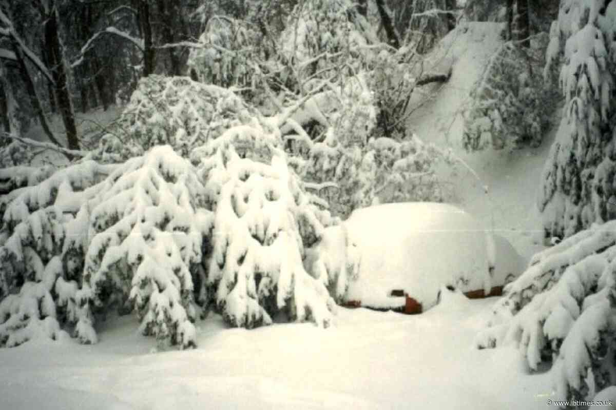 2026 Winter Forecast Heavy Snow Regions: Full Map Shows Where Snowstorms Could Hit