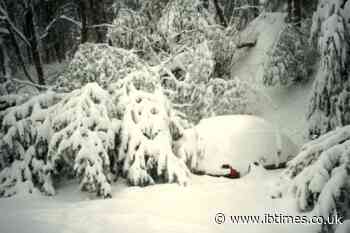 2026 Winter Forecast Heavy Snow Regions: Full Map Shows Where Snowstorms Could Hit