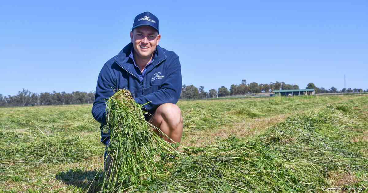 How a first-gen farmer built a thriving hay, contracting and cattle operation