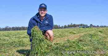 How a first-gen farmer built a thriving hay, contracting and cattle operation