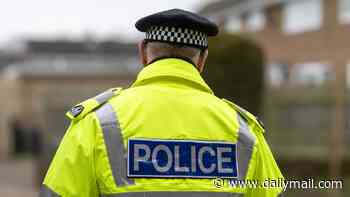Two girls are 'sexually assaulted' by stranger in city centre attack: Police arrest man in his 20s