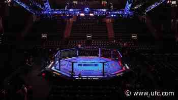 Updates To UFC 332: Silva vs Wang
