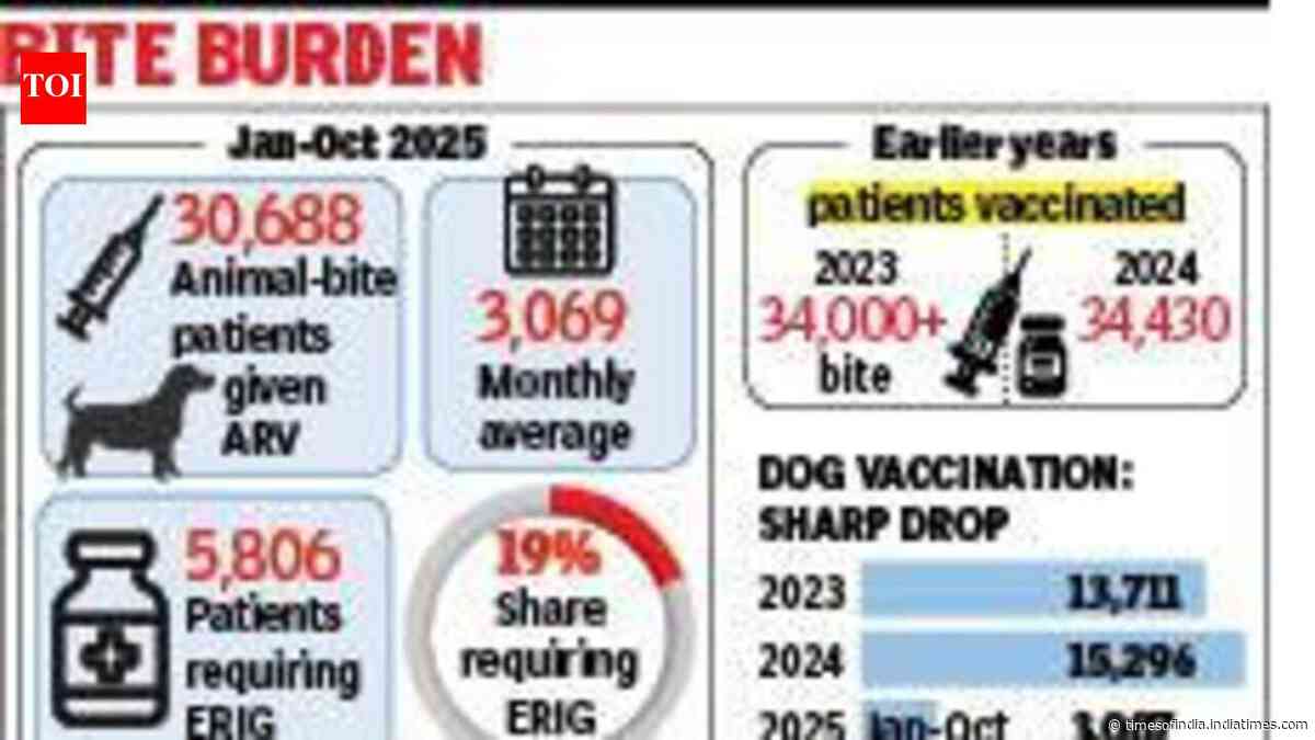 30k bite cases, 3k dogs jabbed: Kolkata’s rabies gap widens