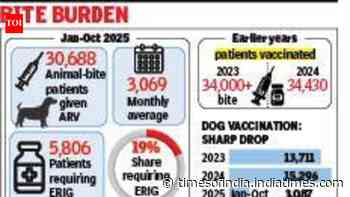 30k bite cases, 3k dogs jabbed: Kolkata’s rabies gap widens