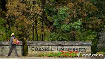 What to know about Cornell's alleged frat house gang-rape case and the 'Cornell 7'