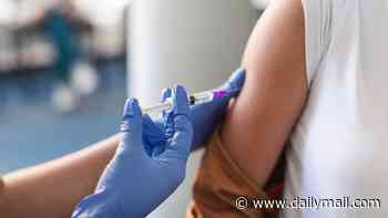 One in eight cancers are linked to infections, new study finds, including a common stomach bug linked to bowel cancer