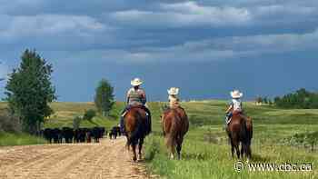 Politics edging out weather as a top concern for Alberta ranchers