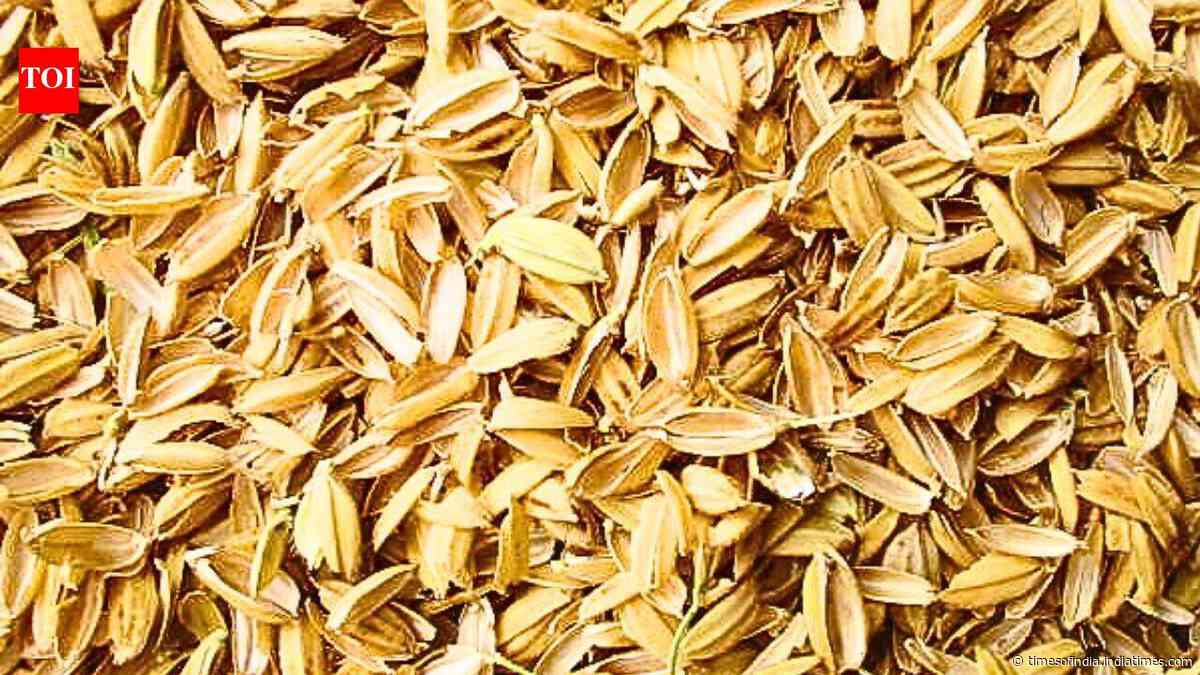 Rice husk ash could make asphalt more resistant to high-temperature damage