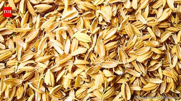 Rice husk ash could make asphalt more resistant to high-temperature damage