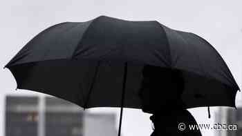 Heavy rain, strong winds forecast for coastal B.C., including Metro Vancouver