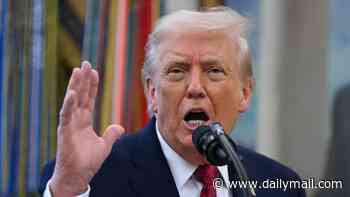 Trump admin announces strict NEW visa restrictions on foreigners as he widens crackdown