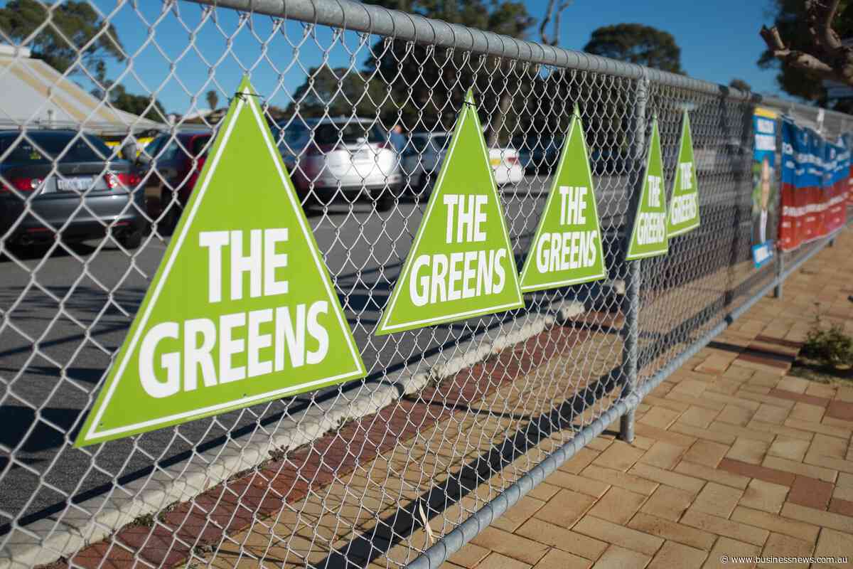 Greens leader suddenly quits after health 'downturn'